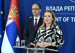 Snežana Paunović  zakon samouprava