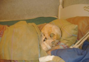 290065_lobanja-01-reuters