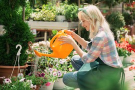 Evo kad je najbolje vreme za ZALIVANJE CVEĆA tokom leta: Ovo je jedini ISPRAVAN TERMIN, inače ćete ga uništiti