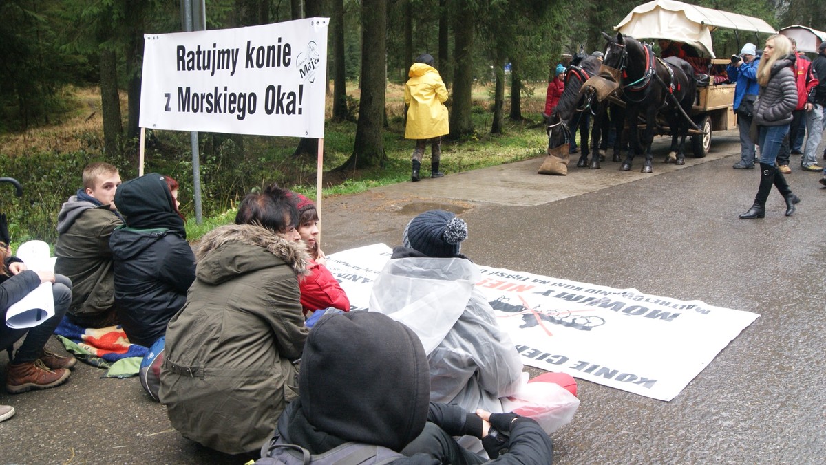 Wyposażony w elektryczne wspomaganie wóz konny nie zdołał dojechać nad Morskie Oko. Po pokonaniu około trzech czwartych trasy elektryczny mechanizm odmówił posłuszeństwa i wóz musiał zawrócić. Siedziało na nim 12 pasażerów. To kolejny test pojazdu.