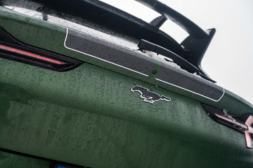 Ford Mustang Mach-E Rally