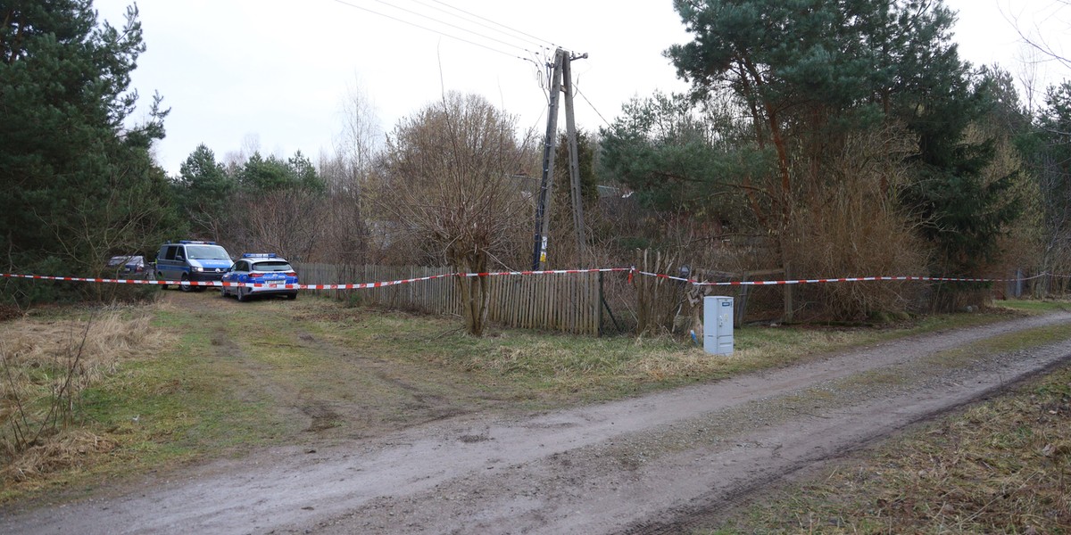 Borowina to niewielka letniskowa wieś leżąca koło Skierniewic (woj. łódzkie). W okolicy znajdują się głównie ośrodki wypoczynkowe i mieszka zaledwie kilka rodzin.