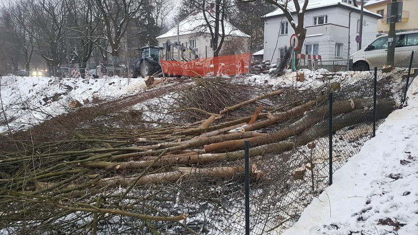 Rozpoczęto przygotowanie terenu w parku Centralnym pod kontrowersyjną inwestycję Arbetu [ZDJĘCIA]