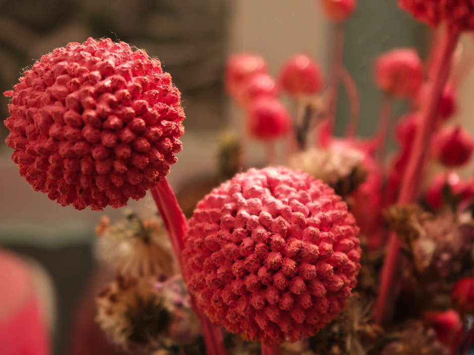 Slikano Xiaomi 15 Ultra