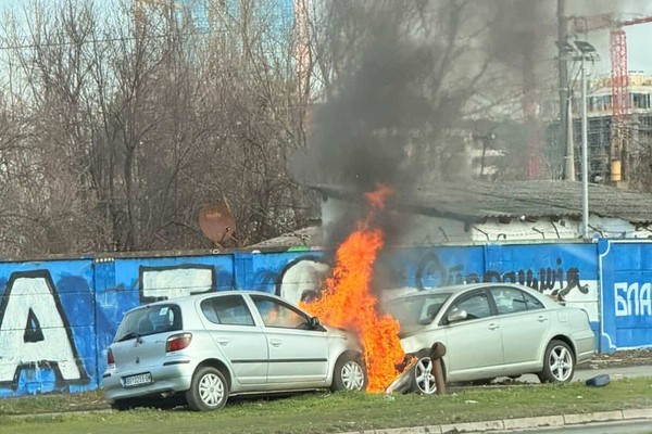 400891_sumarski-fakultet141113ras-foto-oliver-bunic-043