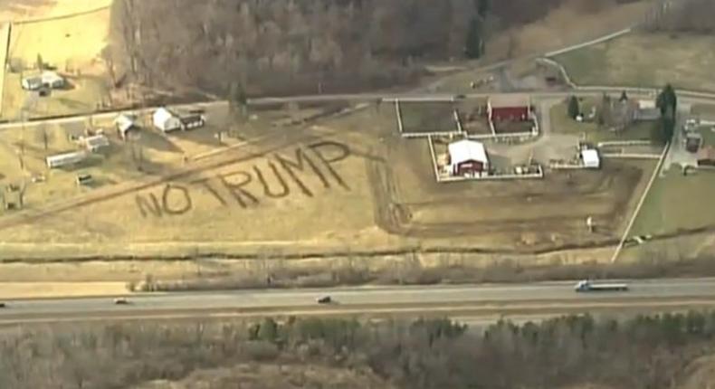 Farmer goes viral after spelling 'No Trump' with cow shit