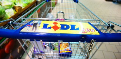 Lidl wprowadza wyczekiwane piwo! Premiera w tym tygodniu