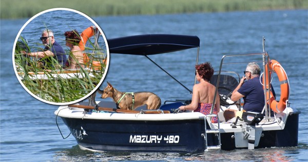 Tak Kwaśniewscy spędzają wakacje. Mazury, łódka i psy [Zdjęcia]