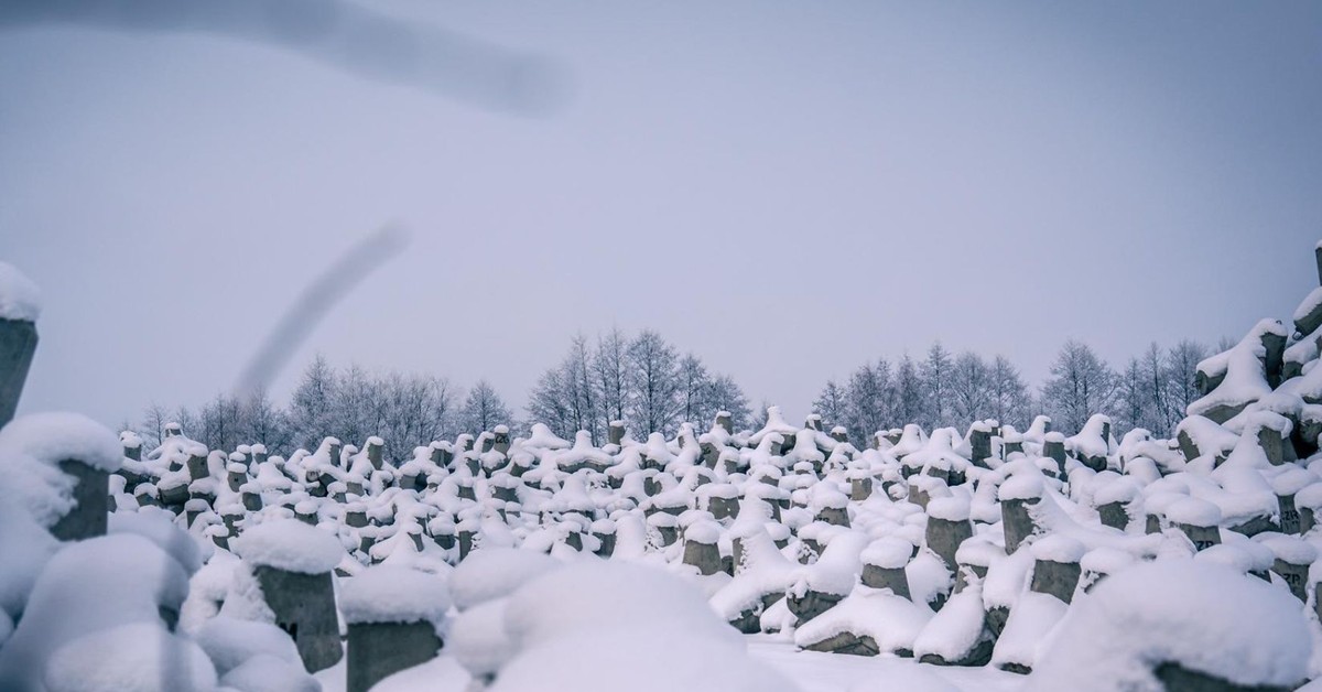 Wzmożone ruchy wojska przy granicy z Rosją. Polska odgradza się potężną zaporą