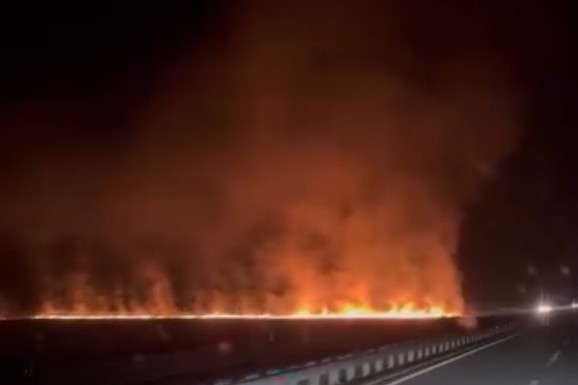 (VIDEO) VATRA SE VIDI IZ VELIKE UDALJENOSTI Buknuo požar između Kuzmina i Adaševaca