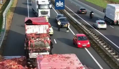 Holenderska autostrada zasypana mięsem. Niecodzienny wypadek [WIDEO]
