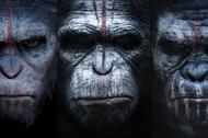 Ewolucja Planety Małp,Geneza Planety Małp,film,filmy 2014,trailer,zwiastun