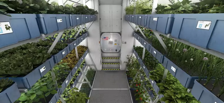 Przełom w hodowaniu warzyw w kosmosie. Sałata równie odżywcza, jak ta na Ziemi