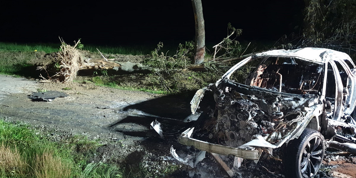 Samochód wyrwał drzewo z korzeniami i stanął w ogniu. Horror koło Gorlic.