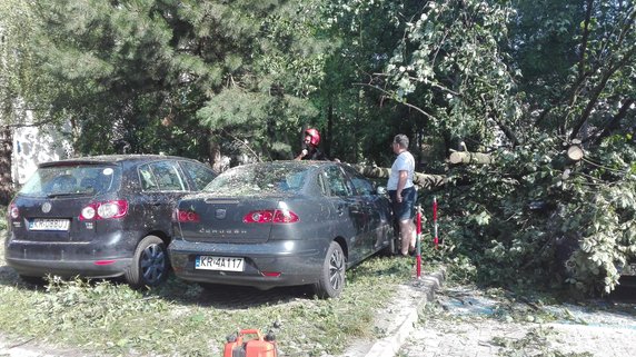 Nawałnica spustoszyła Osiedle Podwawelskie