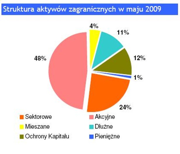 Struktura funduszy zagranicznych