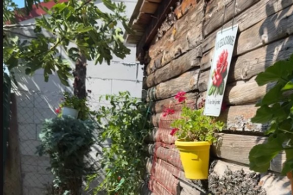 STARA ŠUPA I ZELENILO NA SVE STRANE Dragana Mićalović pokazala kuću u Leskovcu: Ovde uvek nalazi mir (FOTO)