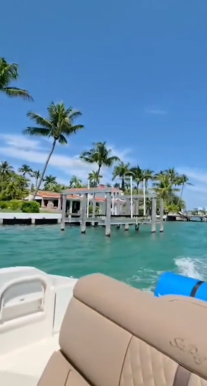 Dragana Mirković, objava