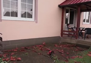 Srušen krov na jendoj od kuća
