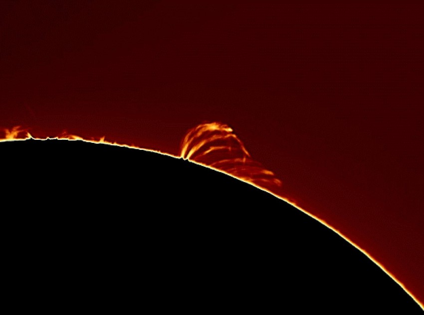 (+) FOTO: Profimedia.rs