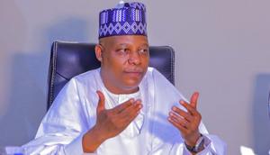 Vice President, Senator Kashim Shettima [Twitter:MrMtag]