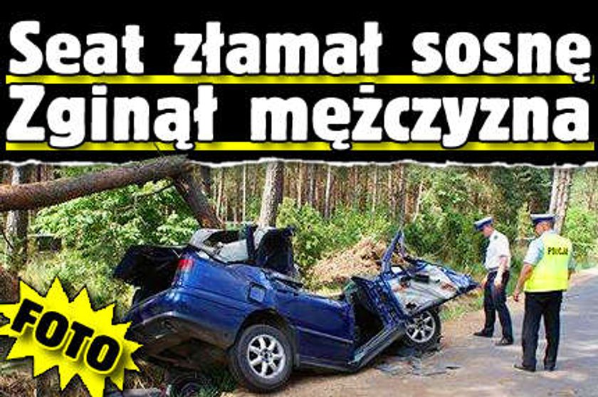 Seat złamał sosnę. Zginął mężczyzna. FOTO