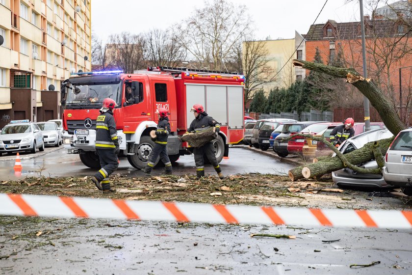 Szalejąca wichura w Szczecinie i w okolicach