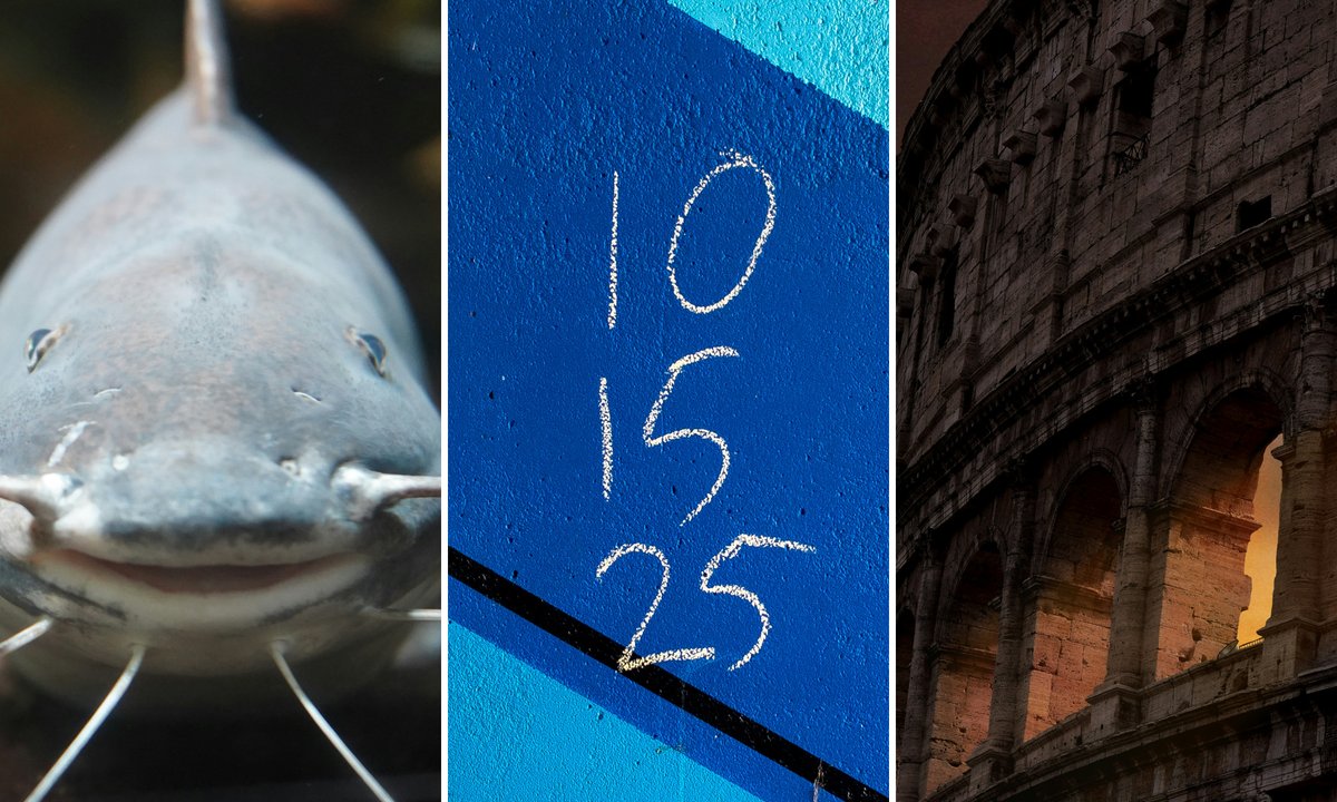 15 pytań sprawdzi stan twojej wiedzy. Ostrzegamy: nie jest łatwo