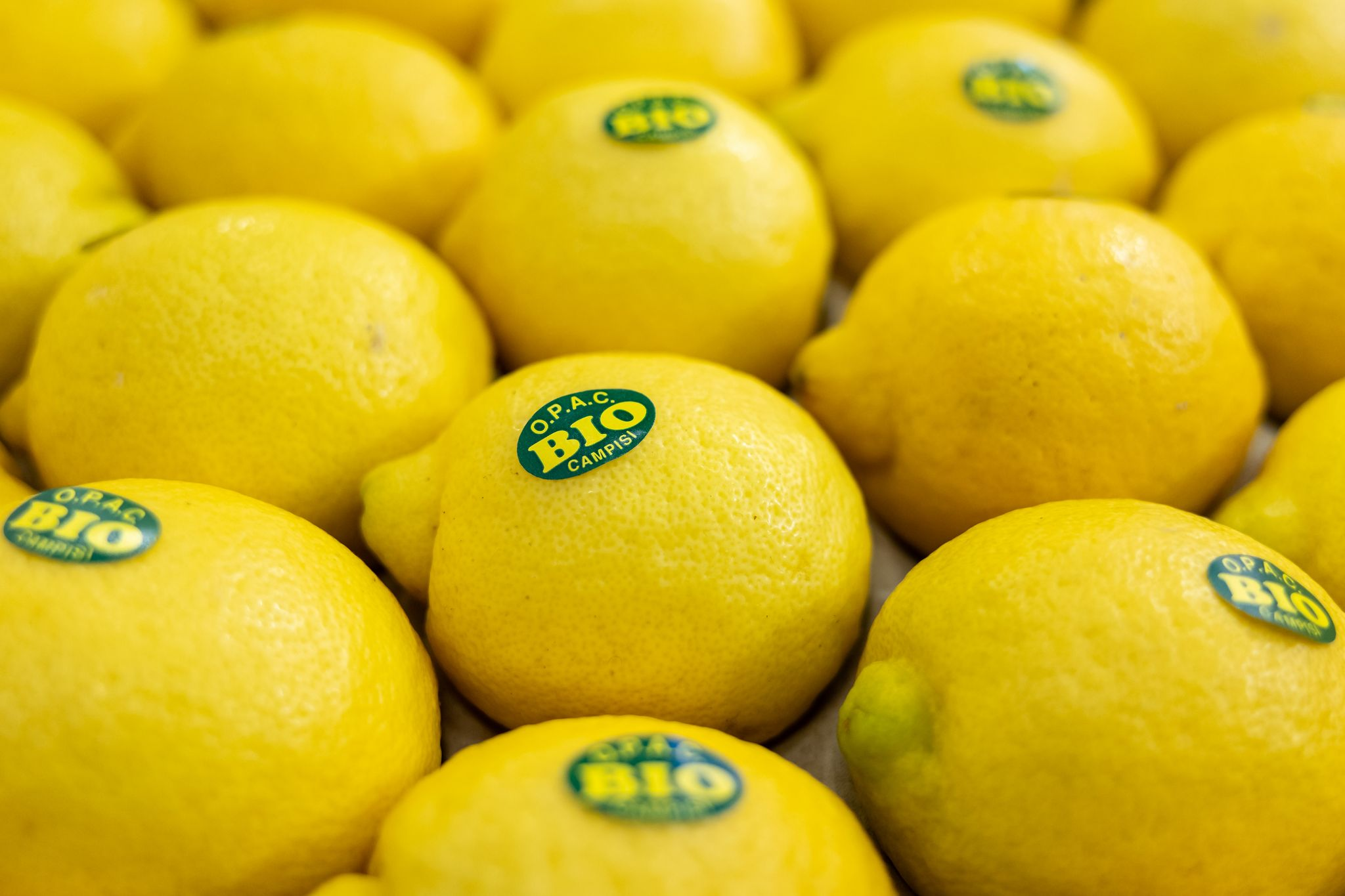 Bio-Verkauf boomt: +6,7%, heimischer Anbau nur +1,1%