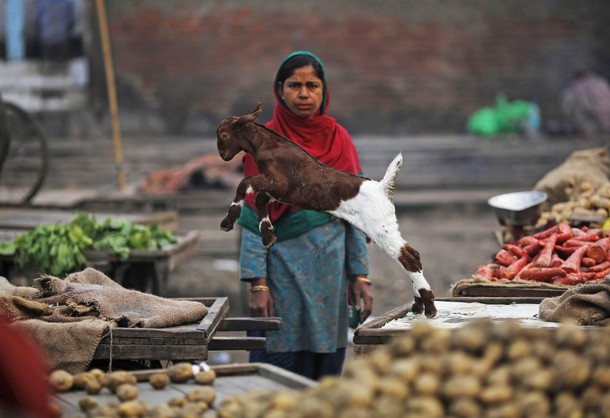 INDIA-DAILYLIFE/