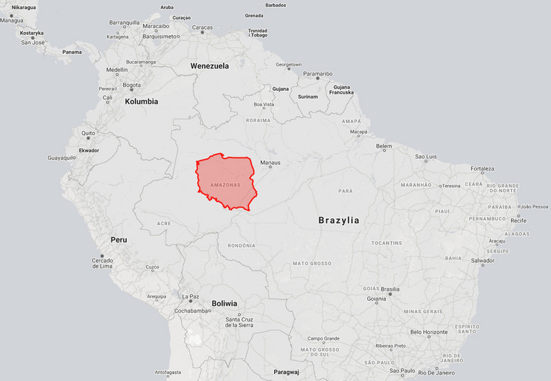 Amazonia - 5 500 000 km kw., Polska - 312 679 km kw. 