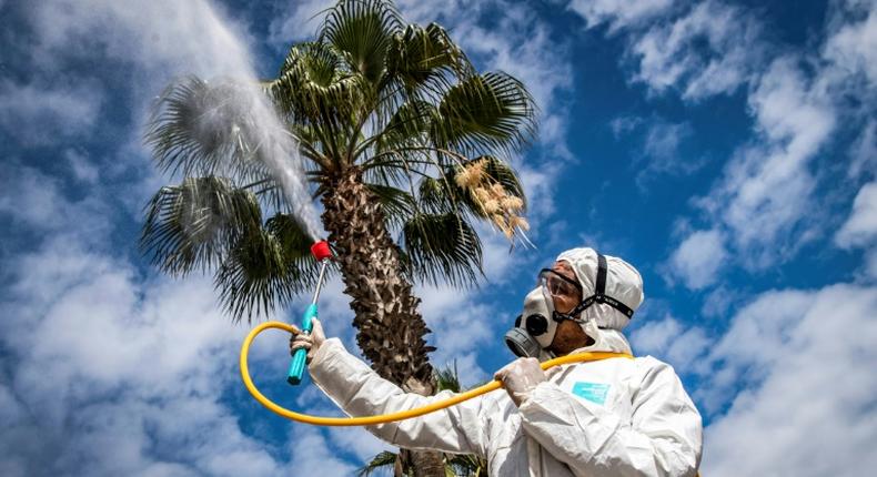 A Moroccan health ministry worker disinfects a street in the capital Rabat to combat the spread of coronavirus