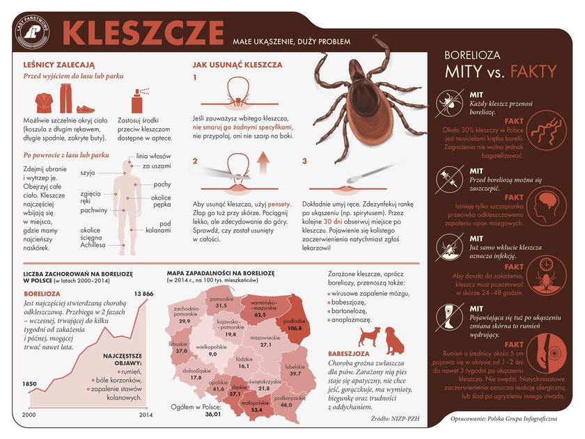 Kleszcze już atakują? Gdzie jest ich najwięcej?