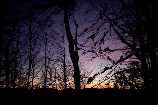 Galeria Polska - Bieszczady w zimowej szacie, obrazek 48