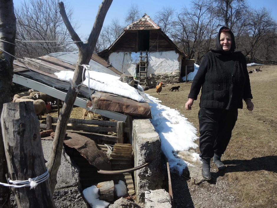 Ljubica Perišić: Srećom te 13. maja njena porodica nije noćila u šupi