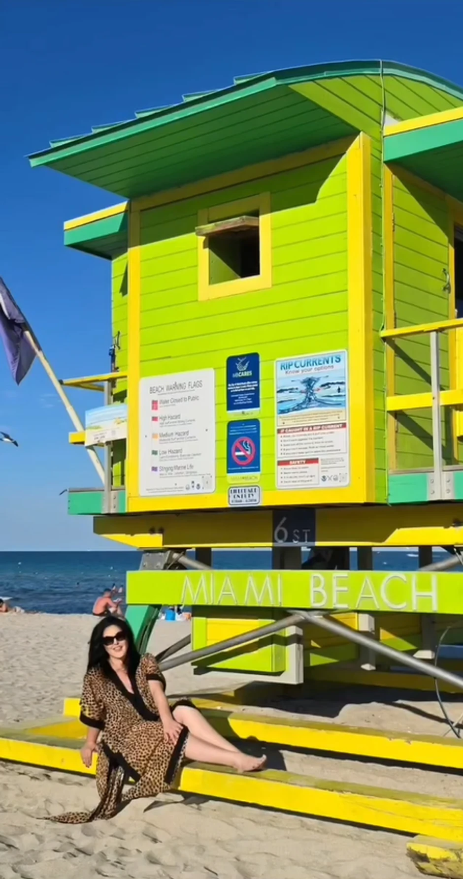 Dragana Mirković, objava