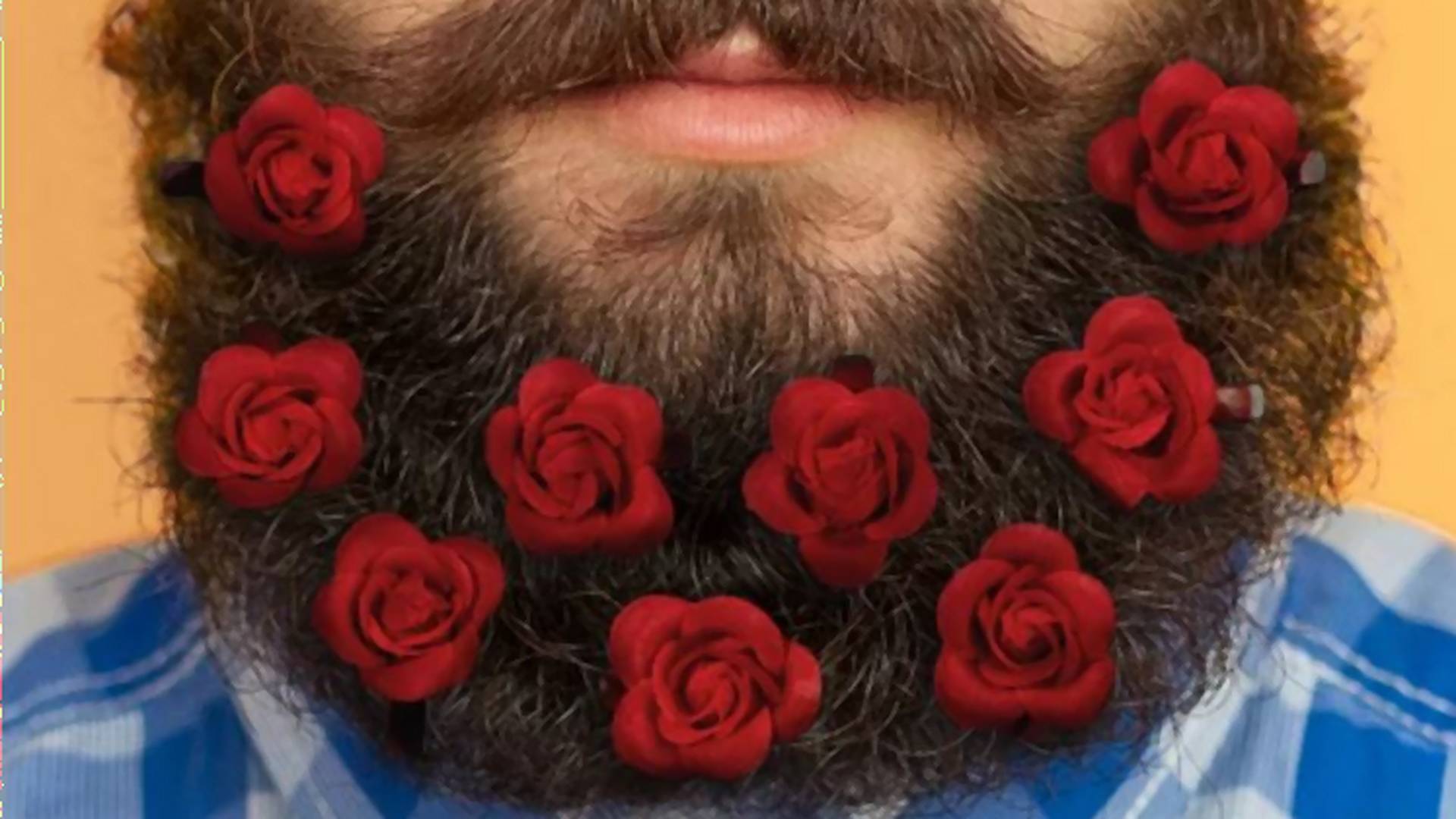 Őrület: szakállcsokor Valentin-napra – Te bevállalod majd?!