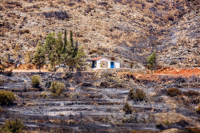 Šumski požari u Grčkoj u julu 2016, ostrvo Hios