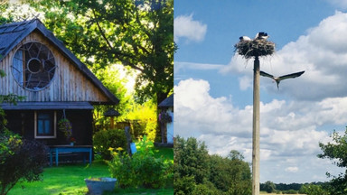 Nocowałam w domku w gałęziach drzew. Z widokiem na gniazdo bocianów