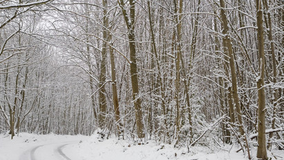 Tényleg itt a tél - Tíz centis hótakaró borította be az utakat Kőszegen