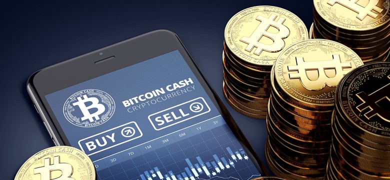 Szwajcarscy naukowcy obliczyli wartość bitcoina