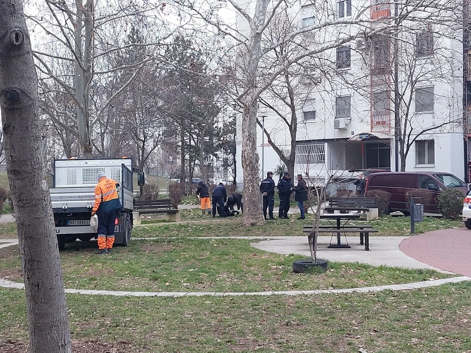 Odnošenje tela sa mesta užasa na Novom Beogradu