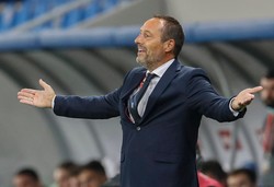 John van't Schip nie jest już selekcjonerem reprezentacji Grecji