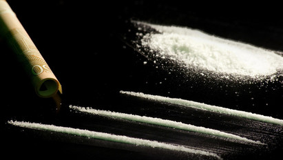 225 kilogramm kokaint foglaltak le Németországban