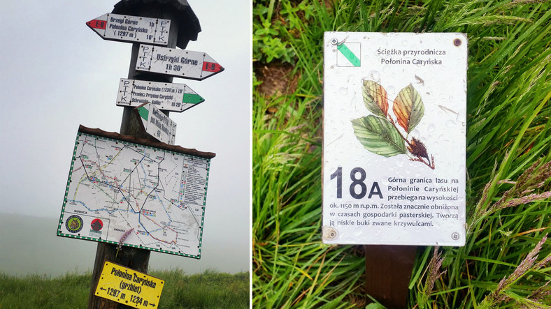 Połoniny, skanseny i kolejki - Skodą Superb zwiedzamy Bieszczady