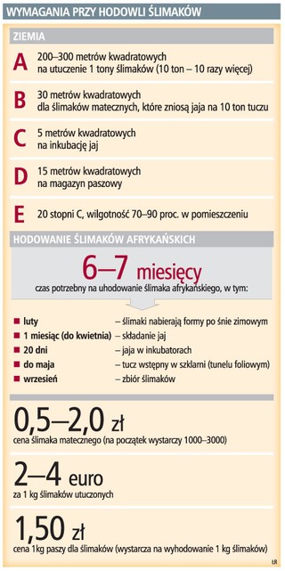 Na hodowli ślimaków rocznie można zarobić nawet 200 tys. zł