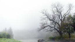 pogodowa anomalia w grudniu. zima zawita do polski?