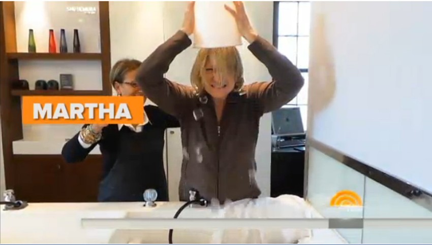 Polila se i Marta Stujart