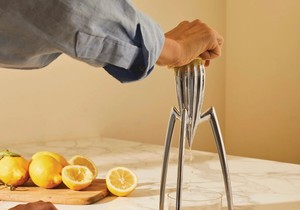Alessi Juicy Salif