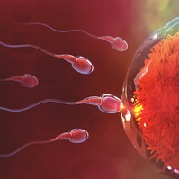 Petesejtfagyasztás: új eljárás, amivel bebiztosítható a terhesség